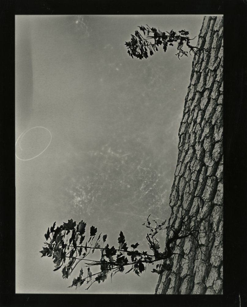 Click for larger image
